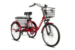 Велосипед РВЗ Чемпион 24 250Вт 10Ач