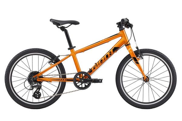 Велосипед Giant ARX 20 (2022)
